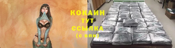 mdpv Горнозаводск