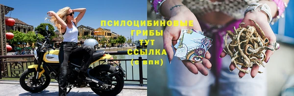 МДПВ Горно-Алтайск